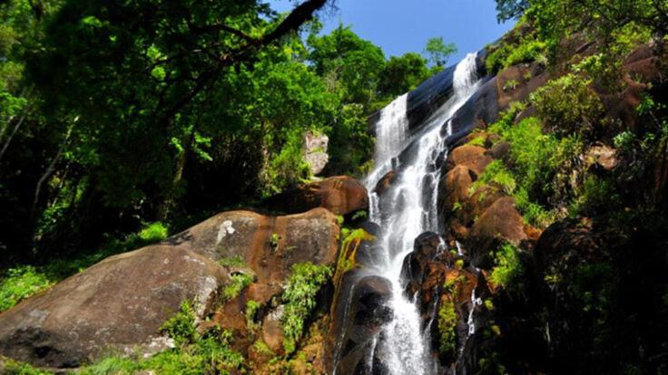 Vilarejo Criando Lacos Ilhabela